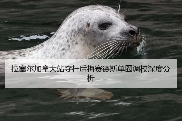 拉塞尔加拿大站夺杆后梅赛德斯单圈调校深度分析 - 333Sports